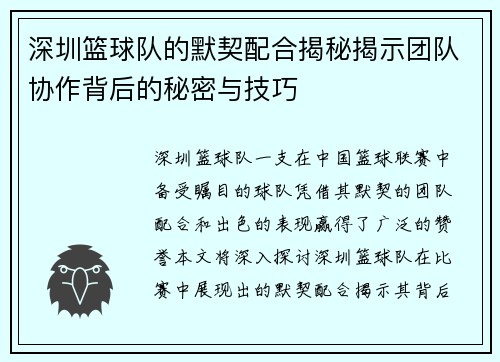 深圳篮球队的默契配合揭秘揭示团队协作背后的秘密与技巧
